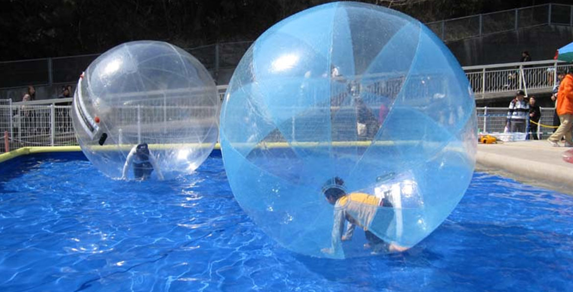 Water Walking Ball
